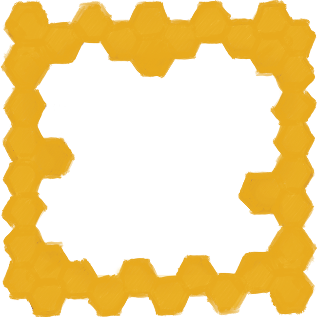 honeycomb border frame